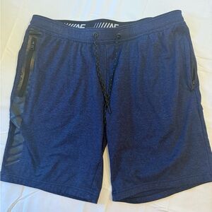 American Eagle Outfitters Navy Blue Athletic Drawstring Shorts